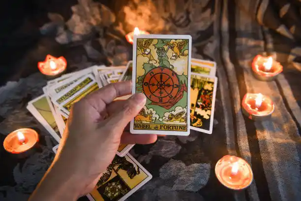 tarot cards Newland